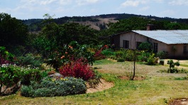 The climate in the Eastern Highlands is perfect for gardening