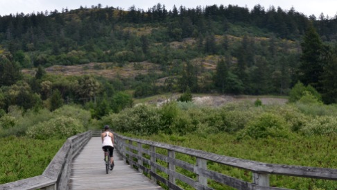 Cycling to Mt. Finlayson